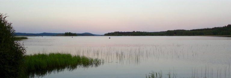 Mitä on laadukas sisältö? Helppoja vinkkejä hakukoneystävällisyyteen