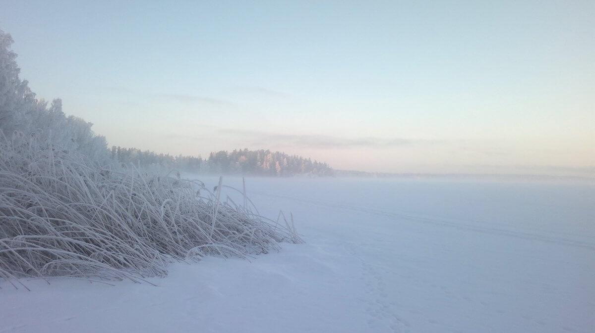 Oppila - SEO friendly content from Finland - also in Finnish