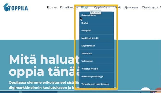 Mitä on segmentointi?